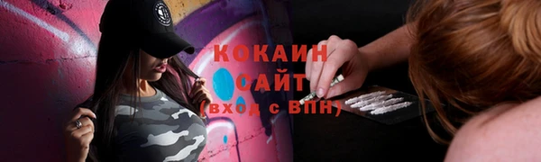 прущие грибы Новозыбков