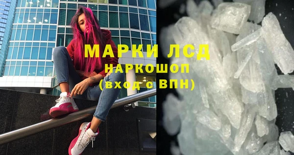 прущие грибы Новозыбков