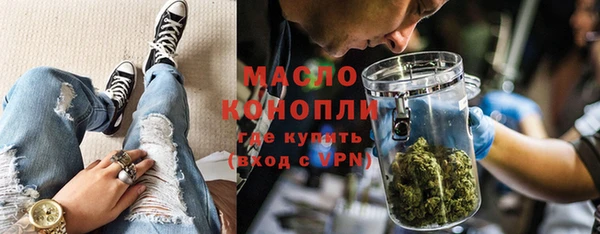 прущие грибы Новозыбков