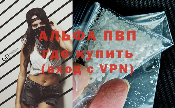 прущие грибы Новозыбков
