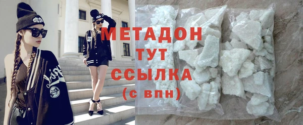 прущие грибы Новозыбков