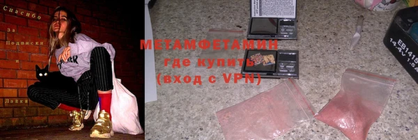 прущие грибы Новозыбков