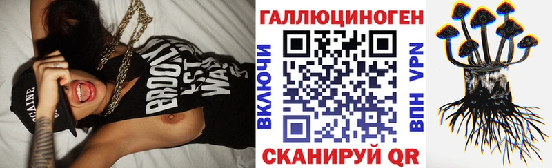 Псилоцибиновые грибы GOLDEN TEACHER  где купить наркоту  Закаменск 